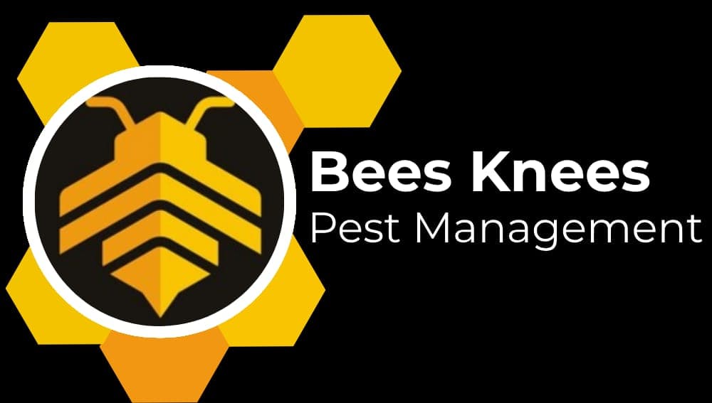 Bees Knees Pest Management logo